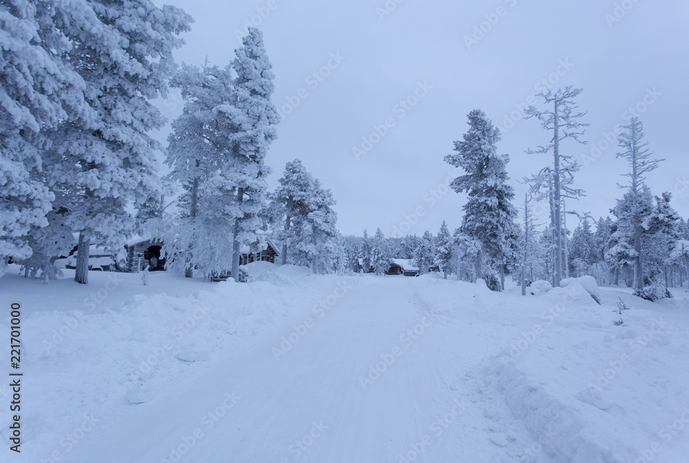 Cold winter in north of Finland