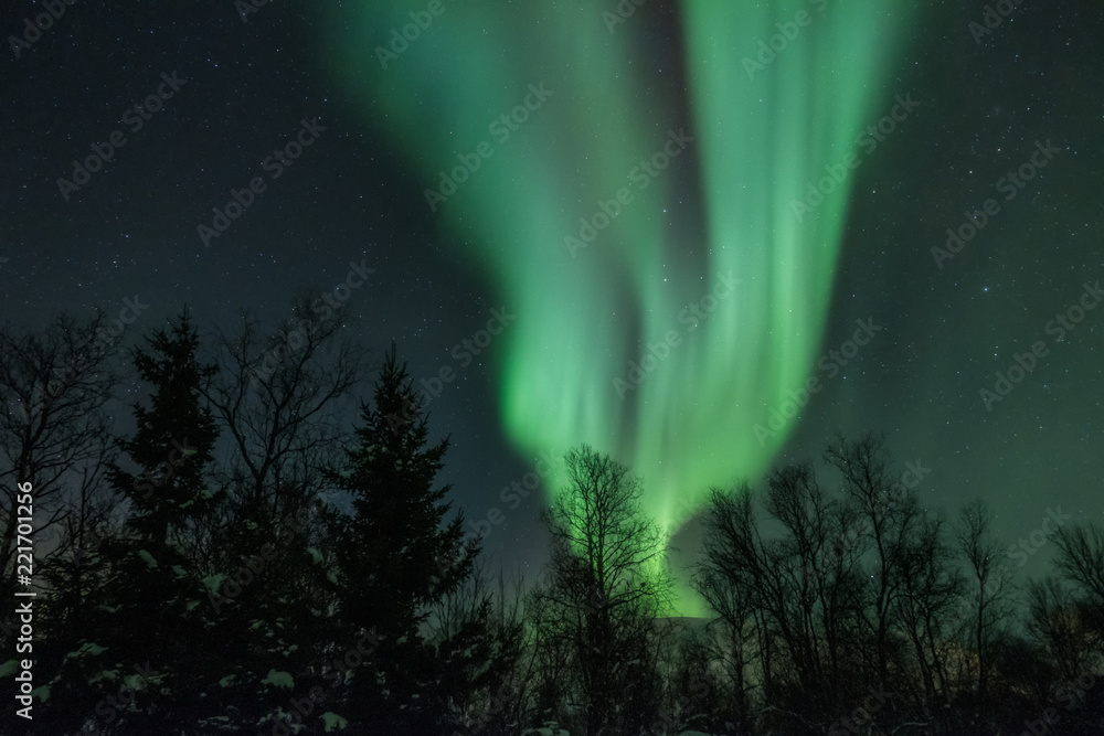 Landscape with northern lights over the forest in winter.