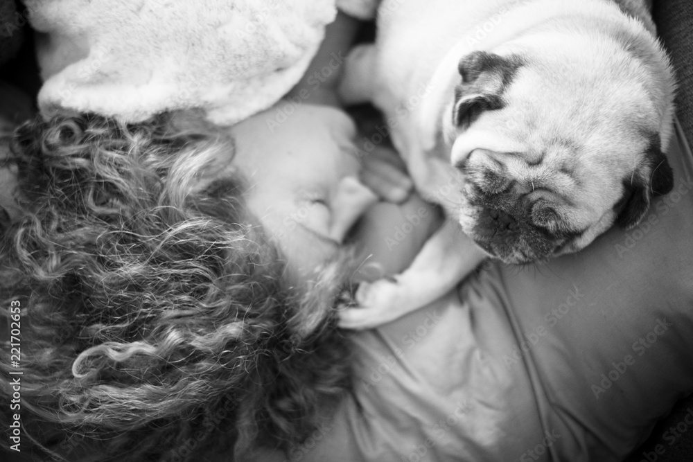 friendship concepts for 40s woman sleeping with her best friend pug dog at home. Both on the pillow and brown warm tones. Dreaming together. romantic black ad white concept image friendship concepts for 40s woman sleeping with her best friend pug dog at home. Both on the pillow and brown warm tones. Dreaming together. romantic black ad white concept image
