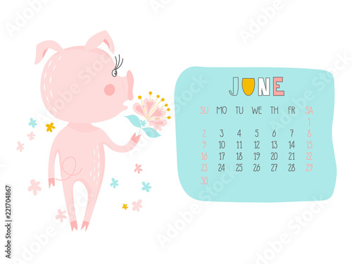 Creative calendar for June 2019 with cute pig. Concept, vector vertical editable template. Symbol of the year in the Chinese calendar. Funny cartoon characters.Vector illustration