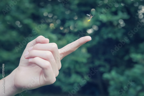 Firefly flying away from a child's finger