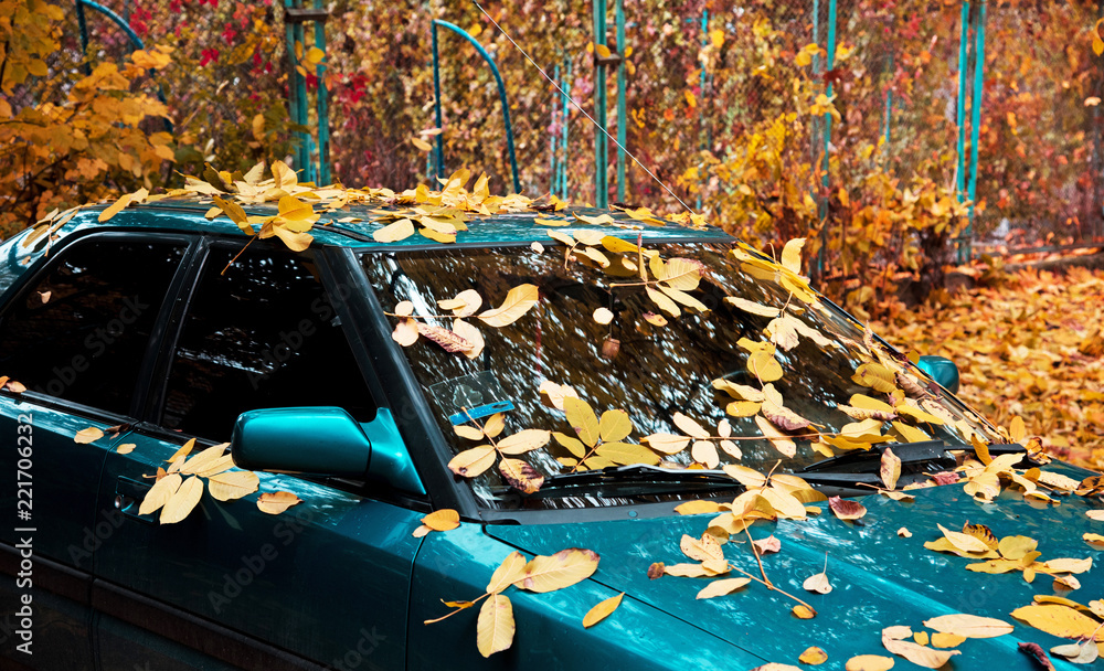Abstract image with car in the autumn leaf on the windshield