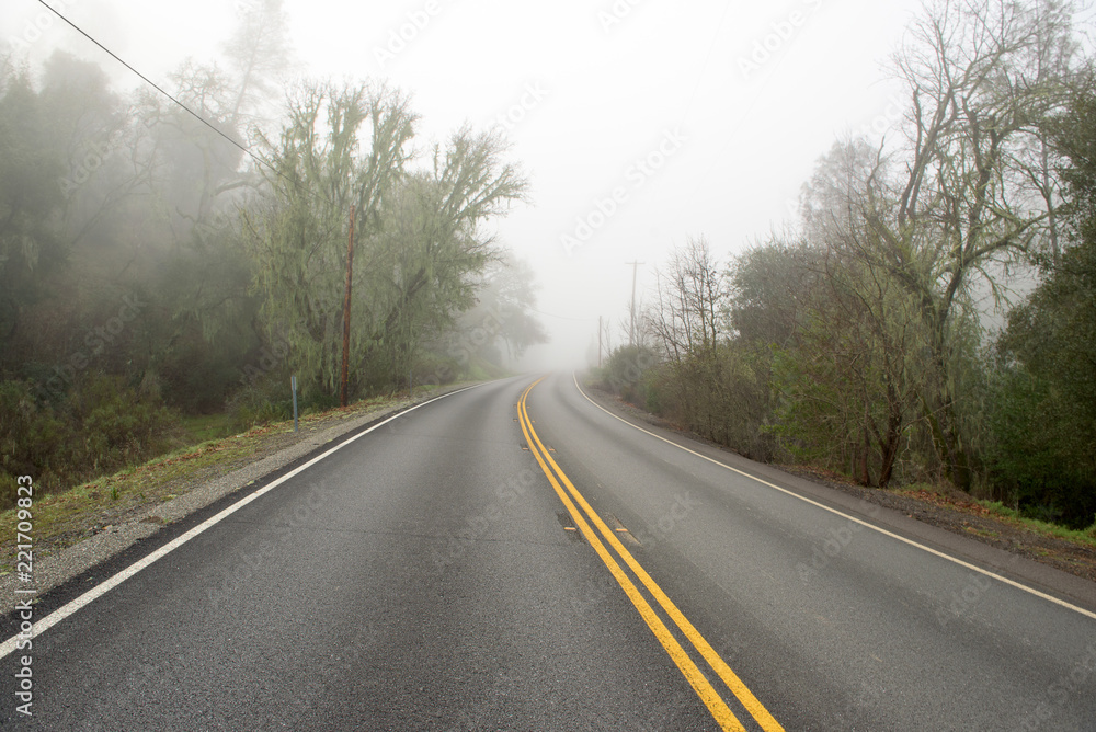 Fototapeta premium Road in forest covered with mist