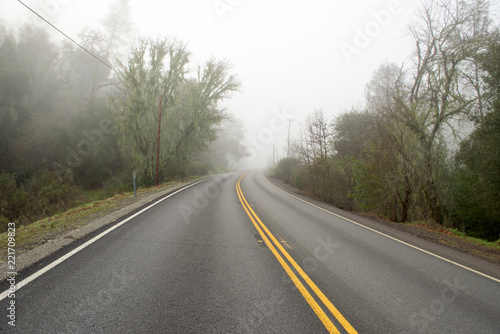Road in forest covered with mist