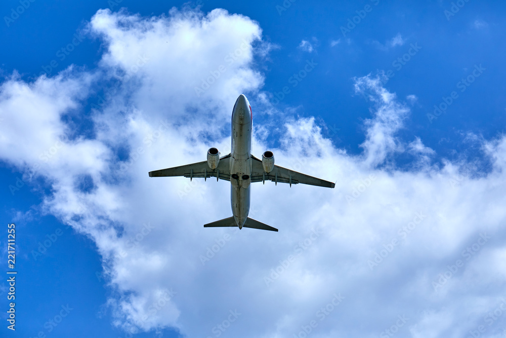 Obraz premium airplane in the sky