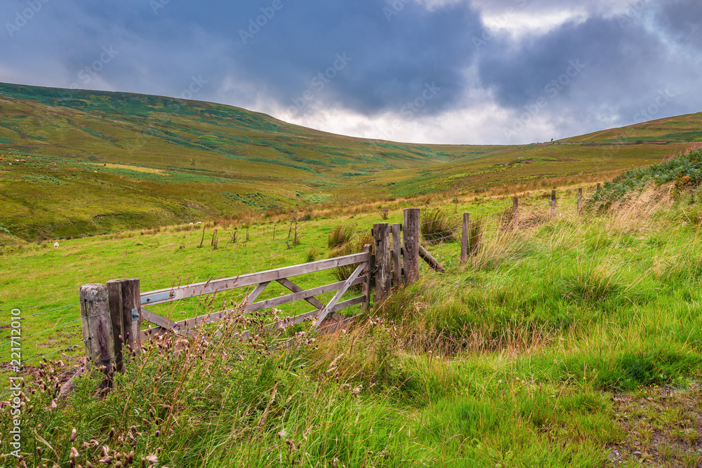 Source of River Rede / The River Rede emerges from Whitelee Moor west of Carter Bar in the Cheviot Hills, in Northumberland National Park