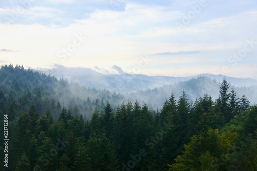 View of the mountains, Skhodnitsa, Ukraine