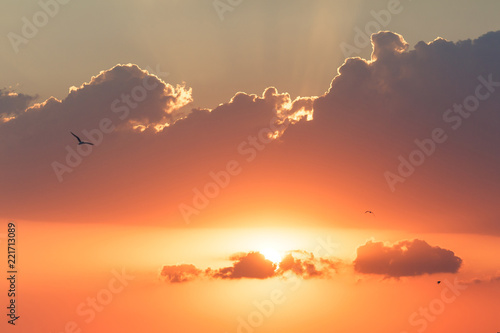Fototapeta Naklejka Na Ścianę i Meble -  Sunset with beautiful sun rays.