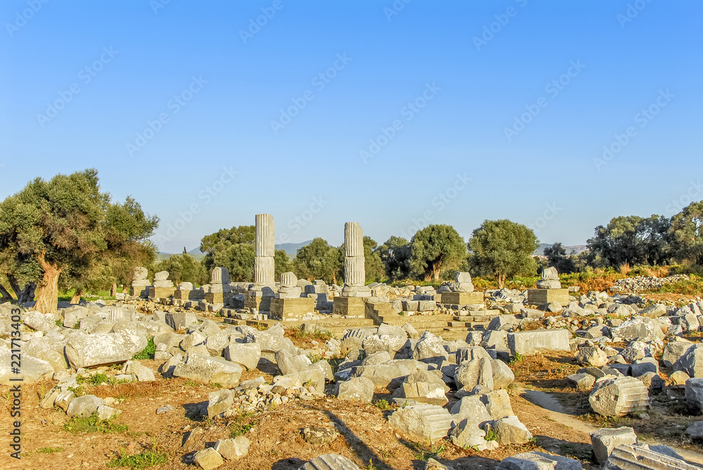 Izmir, Turkey, 3 April 2010: Ruins of Teos ancient city. Sigacik, Seferihisar.