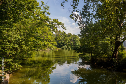 The pond Kahnweiher in the town forest