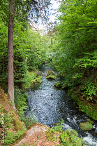 GorgesRiver gorges with rocks and trees along it in Czech republic