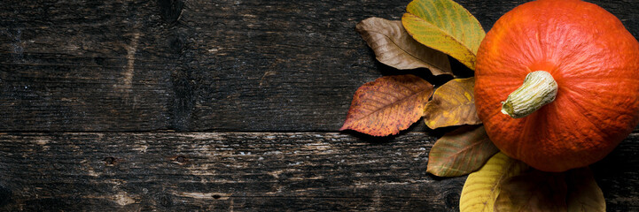 Autumn Harvest and Holiday still life. Happy Thanksgiving Bnner. Two pumpkins and fallen leaves on dark wooden background. Autumn vegetables and seasonal decorations.