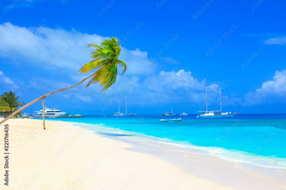 Naklejka premium Cruise To Maldives With Palm tree On Coral Beach