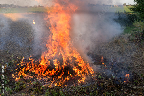 Farmer burns green wastes in bonfire, agriculture concept