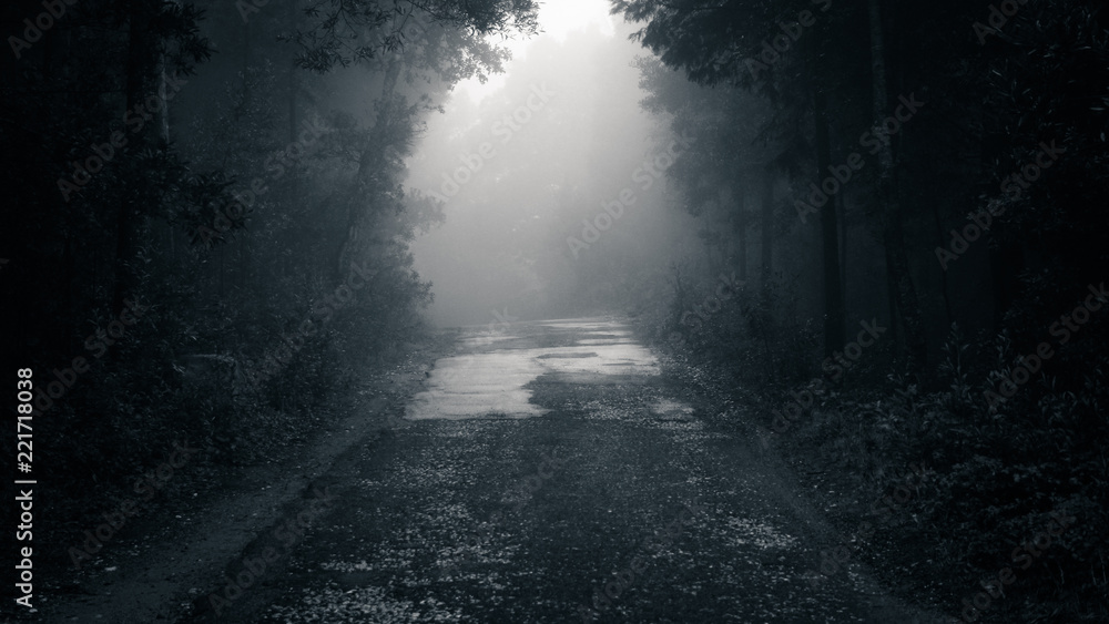 Fototapeta premium Forest road in a green foggy forest 