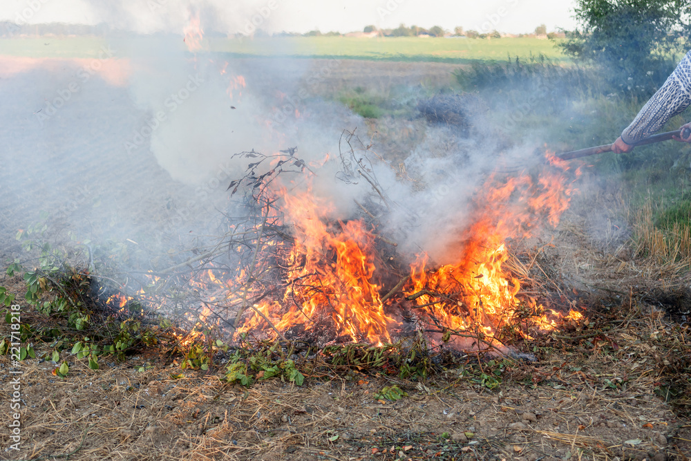 Farmer burns green wastes in bonfire, agriculture concept