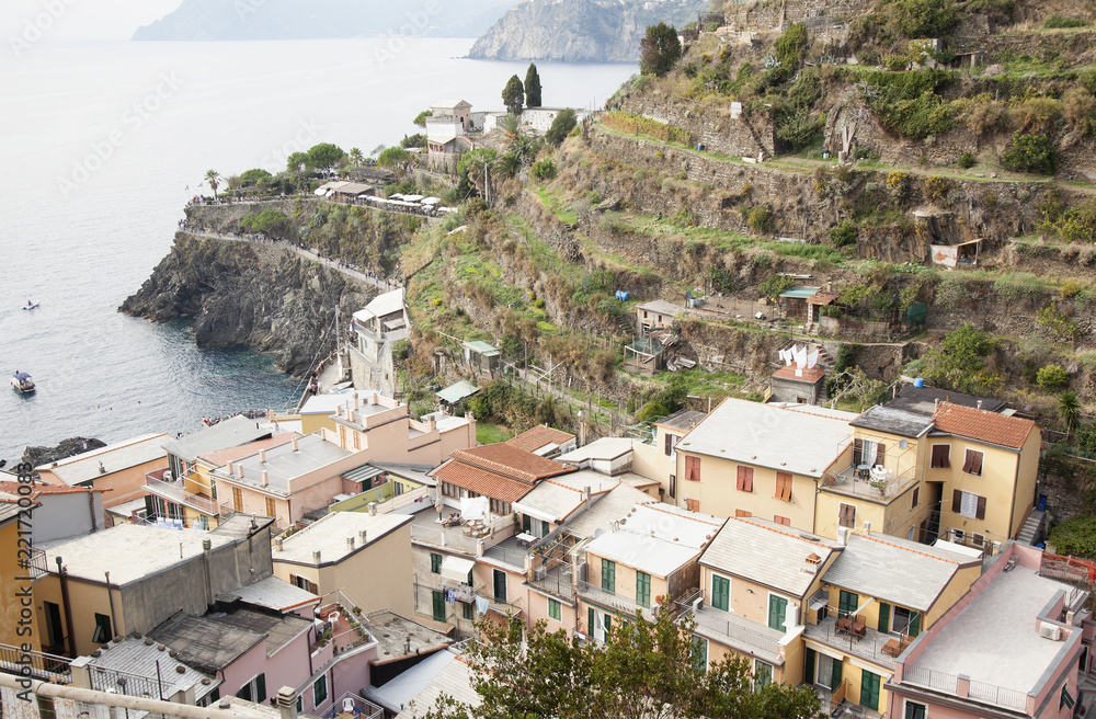 view of the terraces above the town of Manarola in cique terre,italy