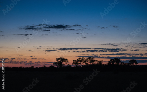 Sonnenuntergang in Afrika  Botswana und Zimbabwe 