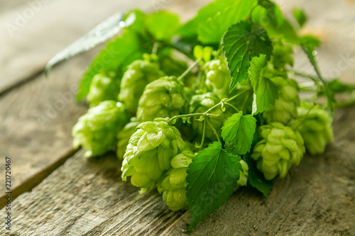 Branches of hops on wood background with copy space