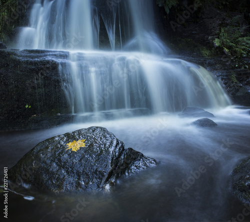 waterfall in the forest