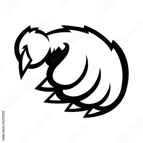 Grizzly bear claw vector illustration