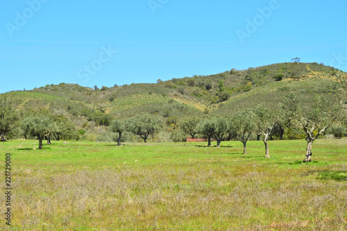 Landscape in Algarve, Portugal: Vale do Alportel