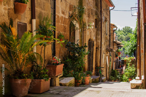 Old street in Pitigliano full of flowerpot
