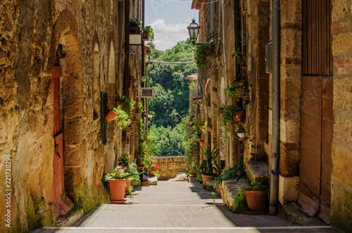 Old street in Pitigliano full of plants