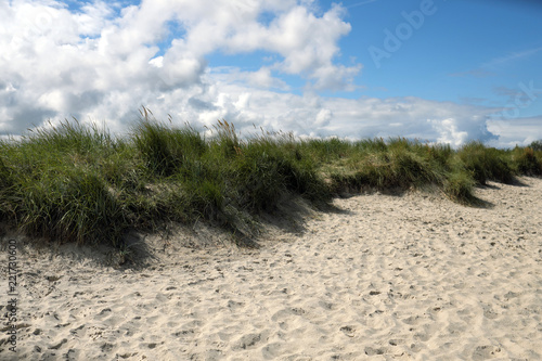 Grasdüne und Sandstrand und blauer Himmel und weiße Wolken - Stockfoto © Westwind