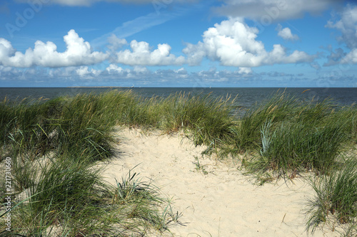 Grasdüne und blauer Himmel und weiße Wolken an der Nordsee - Stockfoto © Westwind