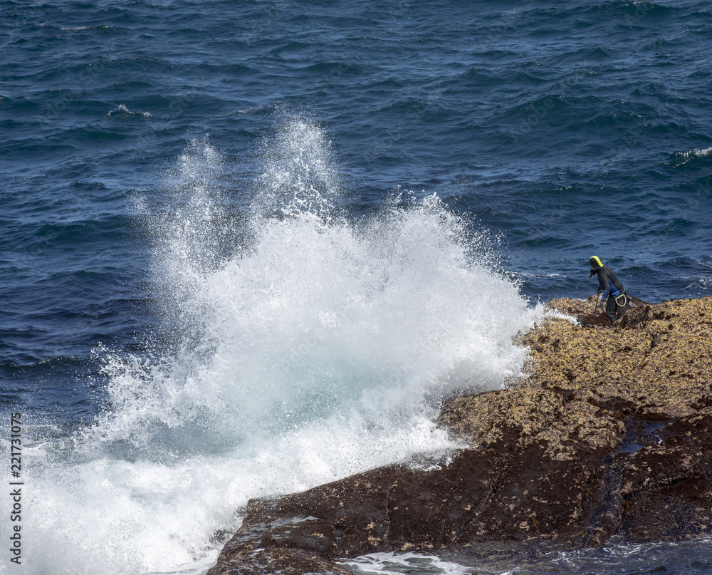 unidentified Barnacles Fisherman in wetsuit at his dangerous work farming Goose Barnacles on the cliffs of cape tourinan, coast of death (costa da morte),galizia, spain