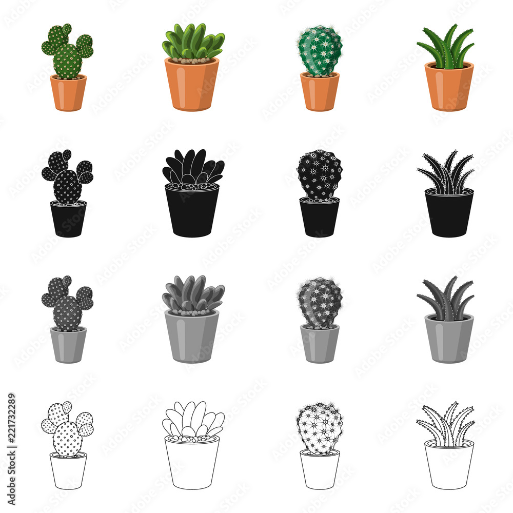 Fototapeta premium Isolated object of cactus and pot sign. Collection of cactus and cacti stock vector illustration.