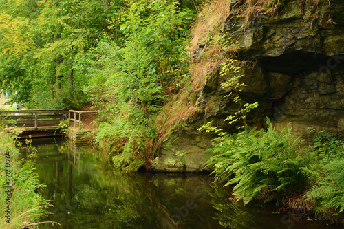 Little lake and rock between trees in Pressnitz river valley near Steinbach village in german Ore mountains during rain on 1st september 2018