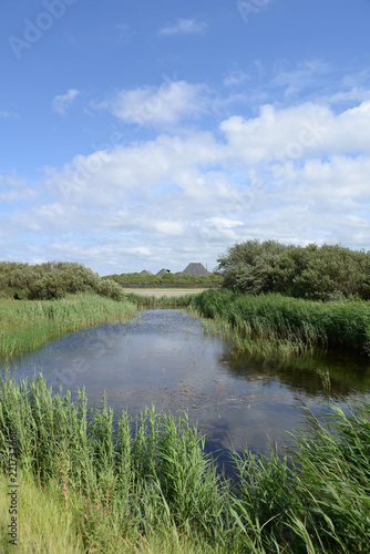 Gewässer bei Julianadorp photo