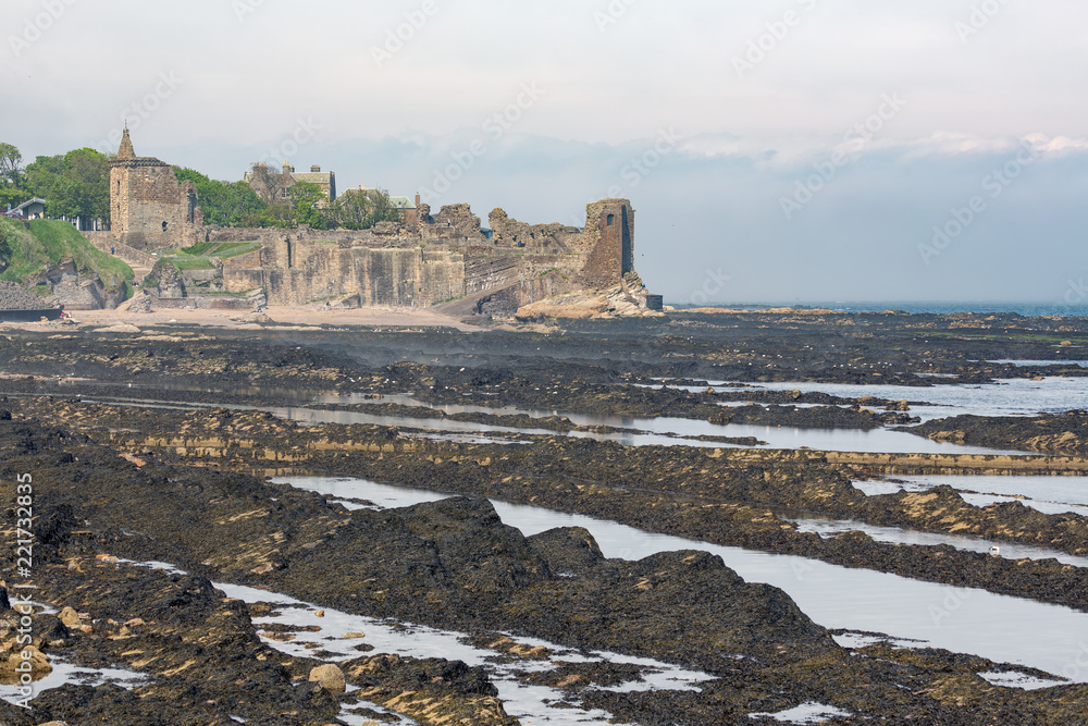Coastline at low tide with ruin medieval castle at St Andrews, Scotland