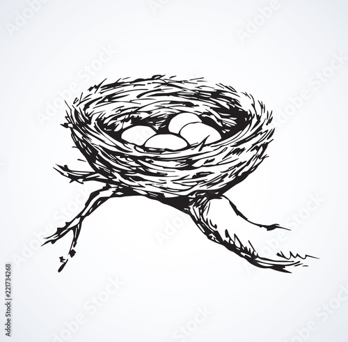 Nest. Vector drawing