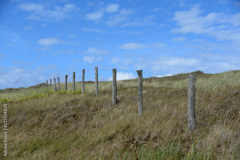 Düne in Holland