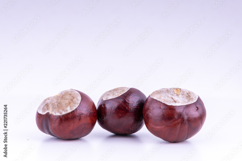 chestnuts in the shell on the surface chestnuts in the shell on the surface