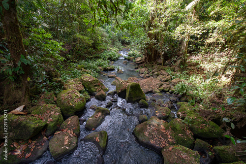 Stream in a tropical rainforest in Costa Rica