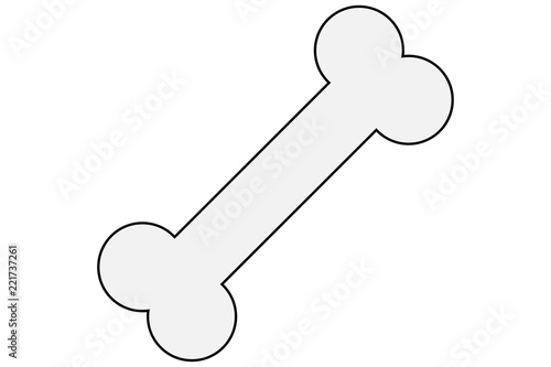 Huesos sobre fondo blanco.