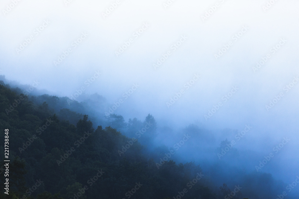 Morning fog settles between a valley in Shenandoah National Park, VA as the sunrises. Morning fog settles between a valley in Shenandoah National Park, VA as the sunrises.
