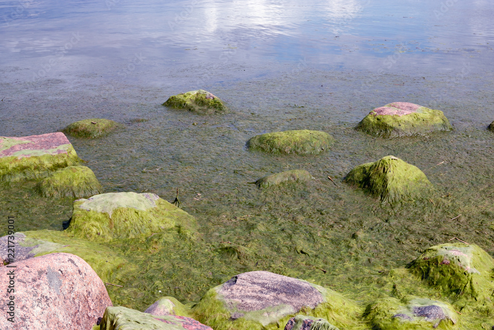 Green stones on the coast