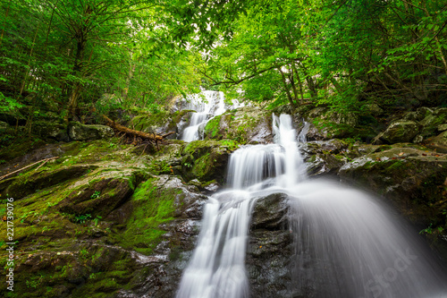 Fototapeta Naklejka Na Ścianę i Meble -  A waterfall runs down a cliff covered in moss in Shenandoah National Park, VA.