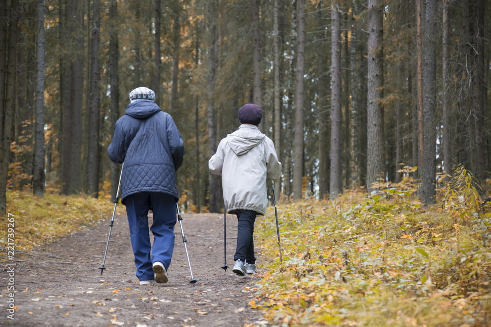 Fototapeta premium woman practicing nordic walking in nature