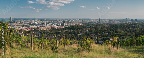 Panorama von Wien mit Weinbergen