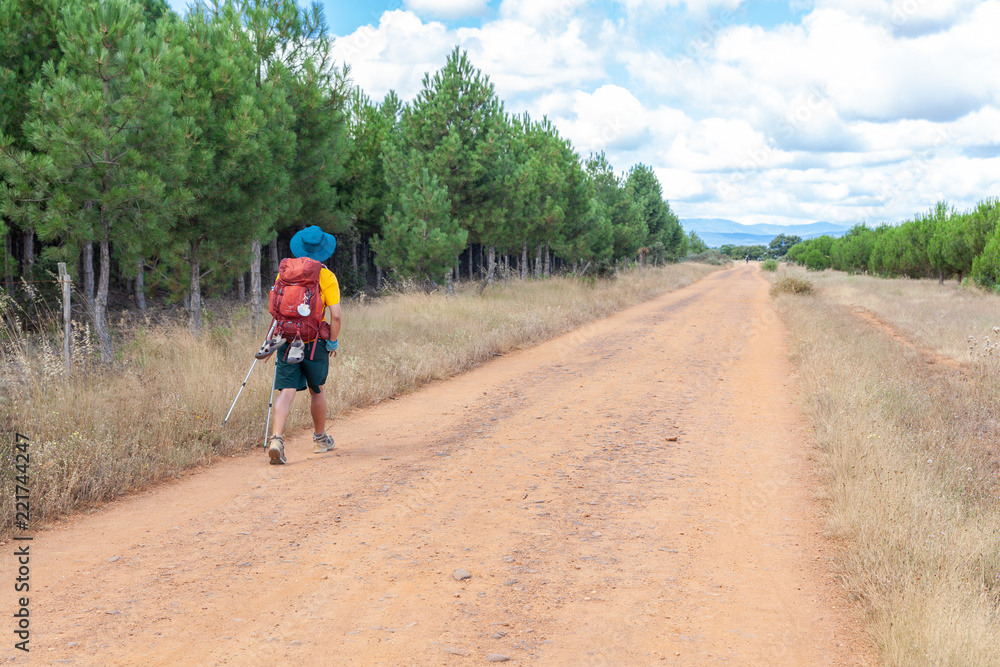 Obraz premium Camino de Santiago Spain
