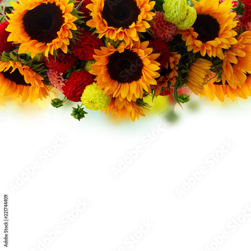 Fototapeta Naklejka Na Ścianę i Meble -  border of dahlia and sunflowers close up over white background