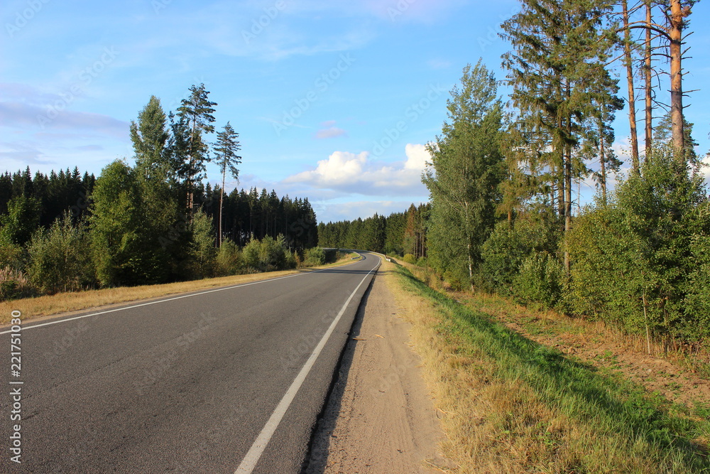 Asphalt road goes away in the perspective among the green trees on the roadsides and clear blue sky in summer day – travel, tourism, country landscape