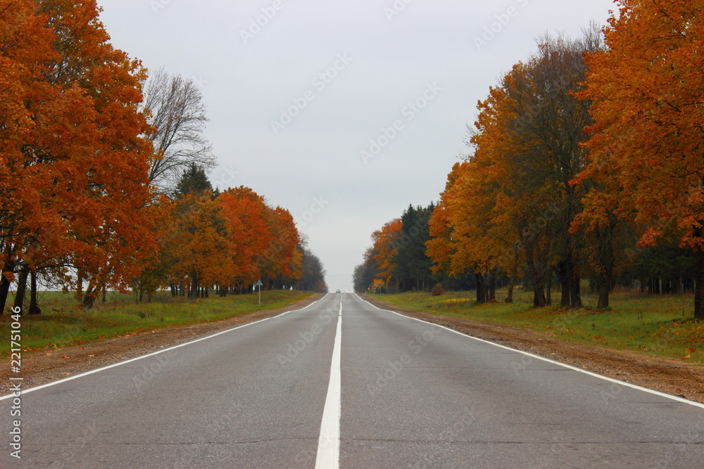 Empty rural country asphalt road in perspective - autumn highway in october gray day