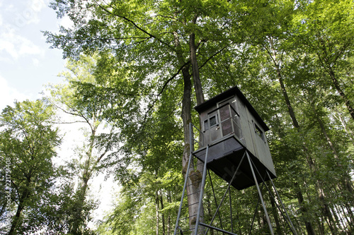 hochstand photo